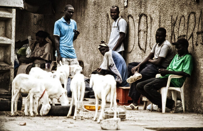 Activités non productives : Les Sénégalais gaspillent 17 heures par jour