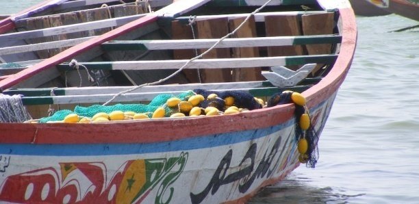 Guinée : trente-neuf pêcheurs pêcheurs arrêtés