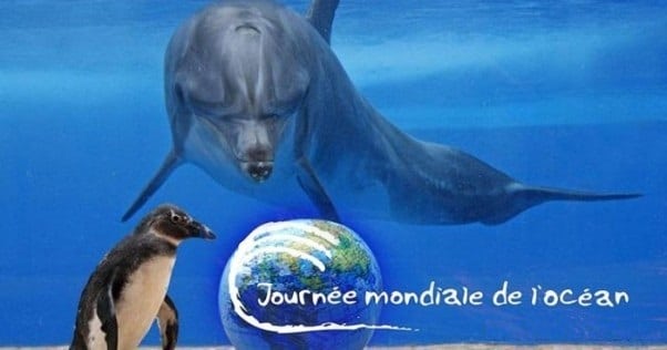 Célébration de la Journée mondiale des océans : Les pêcheurs plaident pour l’arrêt de la surexploitation des ressources￼