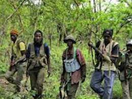 Ziguinchor : L’ASP enlevé ,toujours entre les mains des rebelles