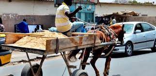 Élimination des charrettes à Dakar : Ces 3 communes où va se dérouler le programme-test