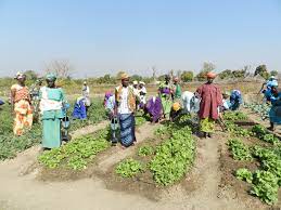 Économie verte en Afrique : Les pays de la CEDEAO plaident pour l’accélération de la transition au profit des femmes