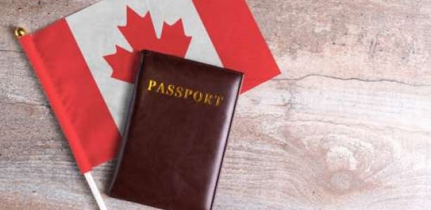 Immigration Au Canada : Comment Un Escroc Au Visa A Placé Ses Enfants Au-Dessus De Ceux De Sa Victime