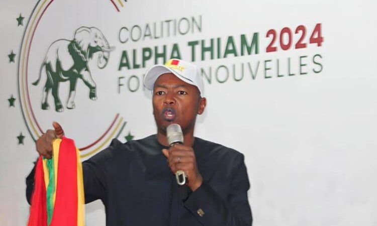 PRÉSIDENTIELLE 2024 : Alpha Thiam alerte et appelle à la sécurisation du vote de Diomay