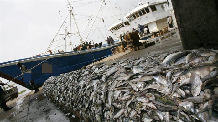 Publication de la liste des navires : L’État pêche pour la transparence